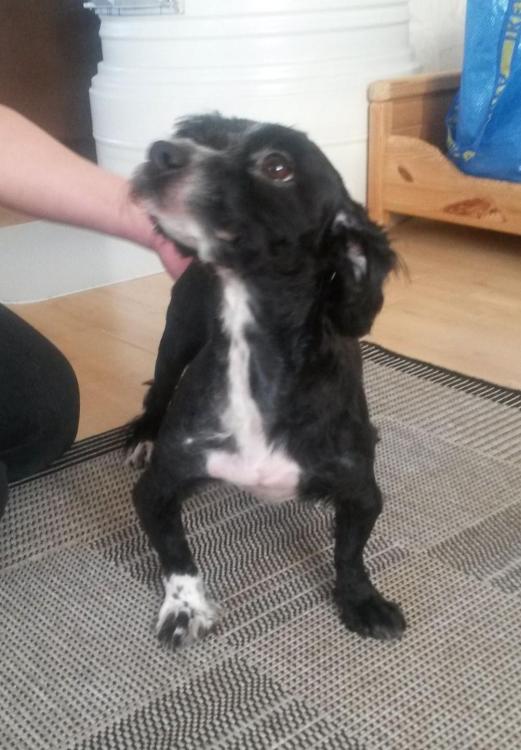 Nala 15.3.15 095.jpg