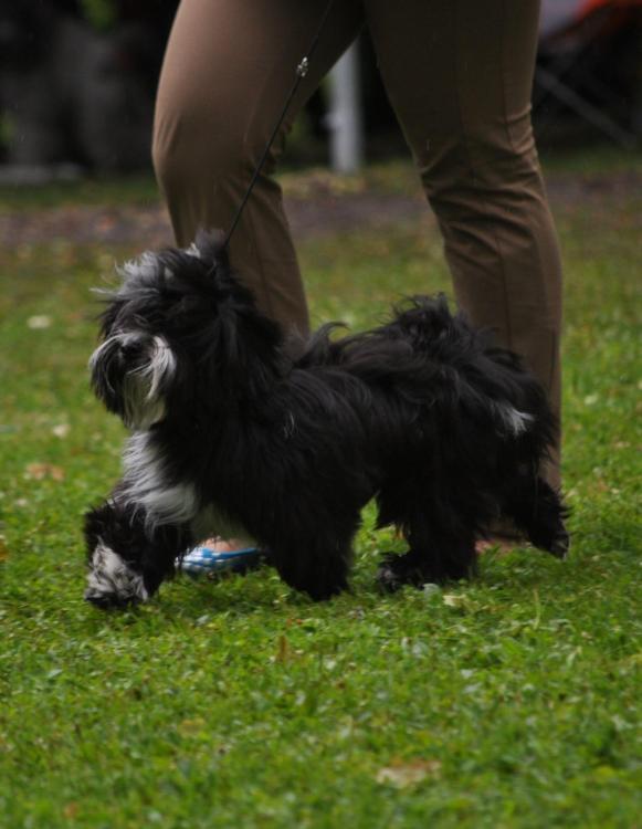 Pori ja Mustiala 28-29.6.14 135.JPG