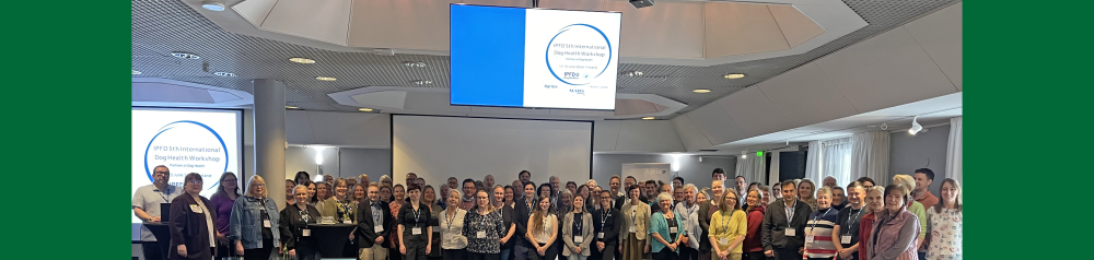 IDHW Group Cropped w green borders.png