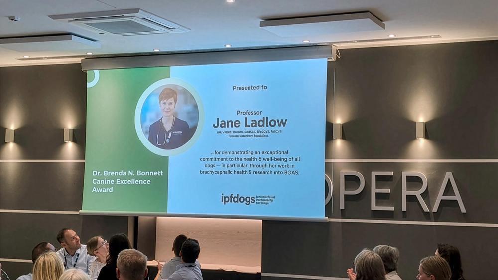 Jane Ladlow Award 1.jpg